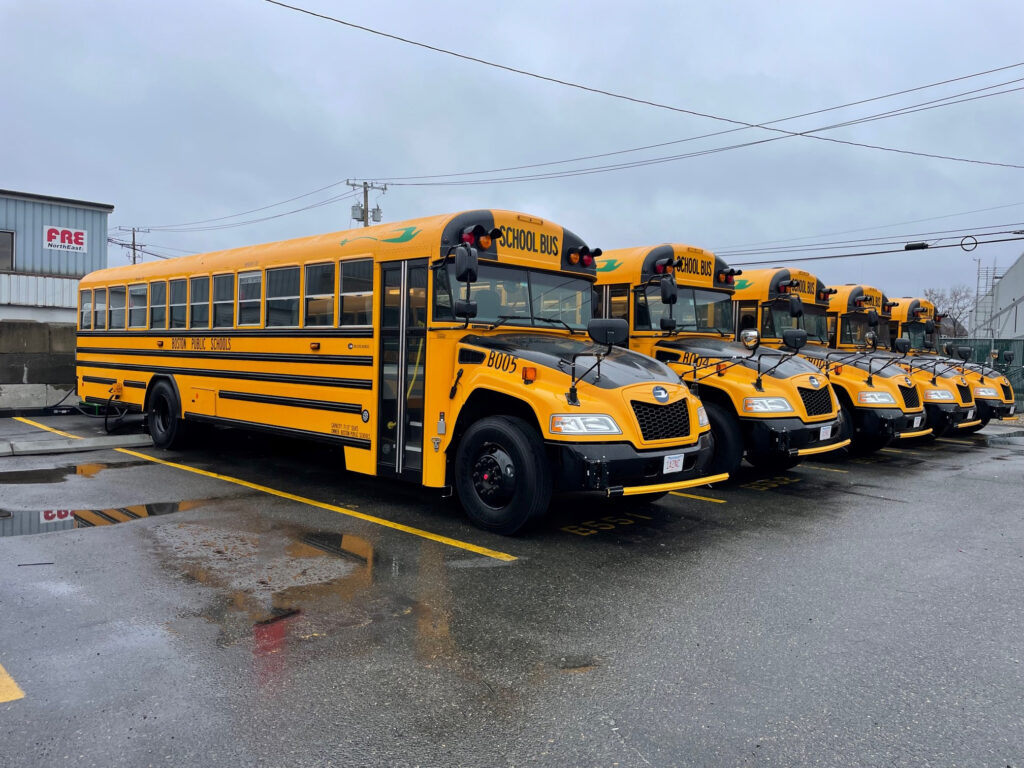 A row of electric school buses in a parking lot
